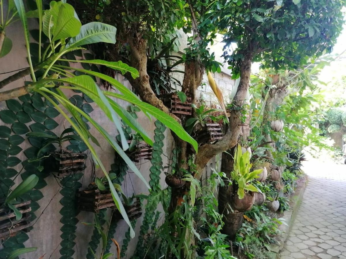 Coliving Bali Sweet Home Kost Lengkap Di Tabanan Kota Exterior foto