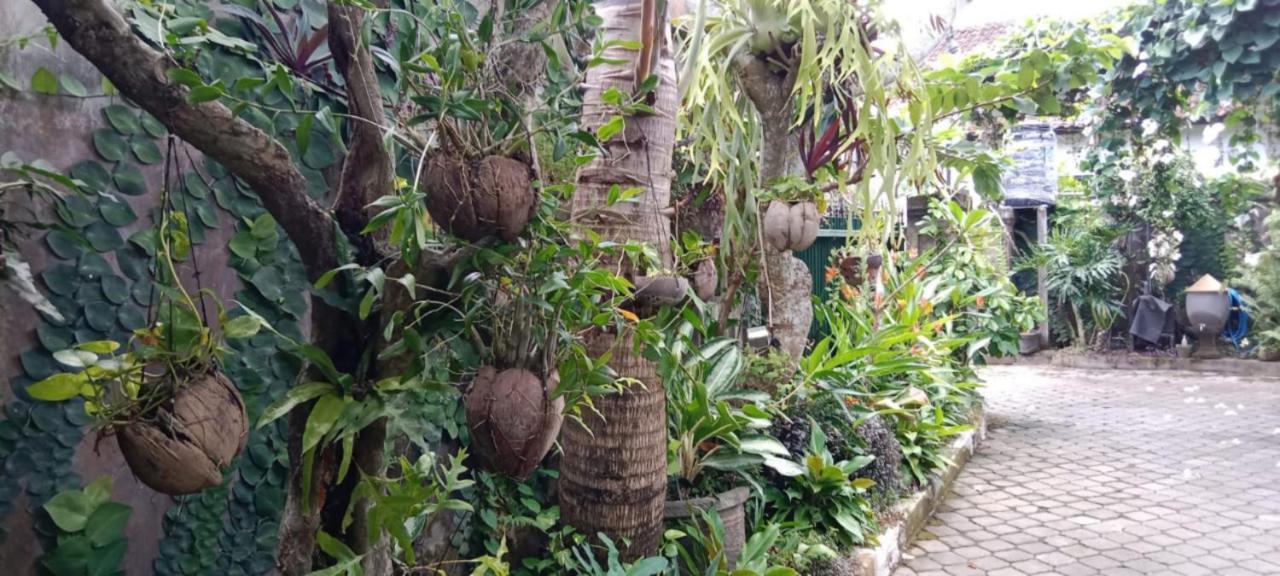 Coliving Bali Sweet Home Kost Lengkap Di Tabanan Kota Exterior foto