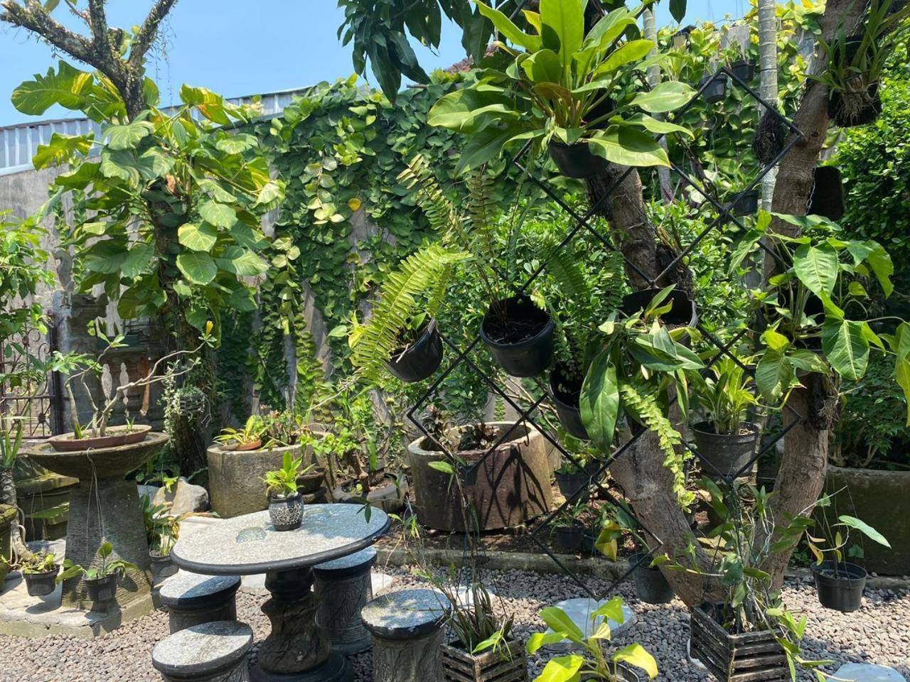 Coliving Bali Sweet Home Kost Lengkap Di Tabanan Kota Exterior foto